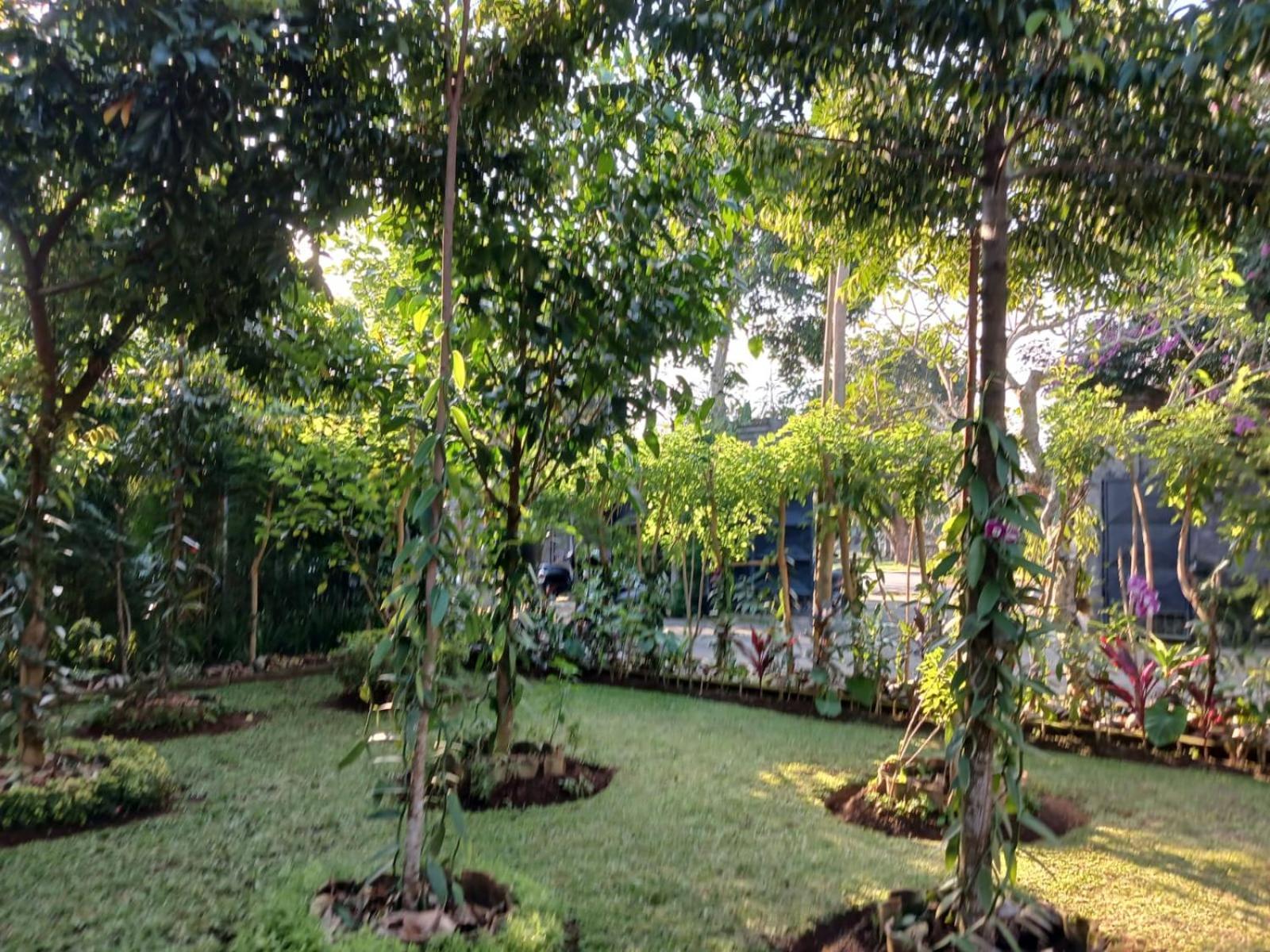 Puri Amartha Apartment Ubud  Exterior photo